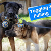 Interactive Bungee Tug Toy for Dogs