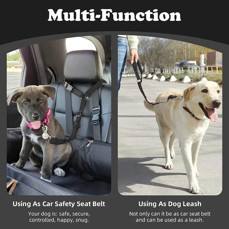A multi-function product showing a dog wearing an adjustable car safety belt and another dog being walked on a leash.