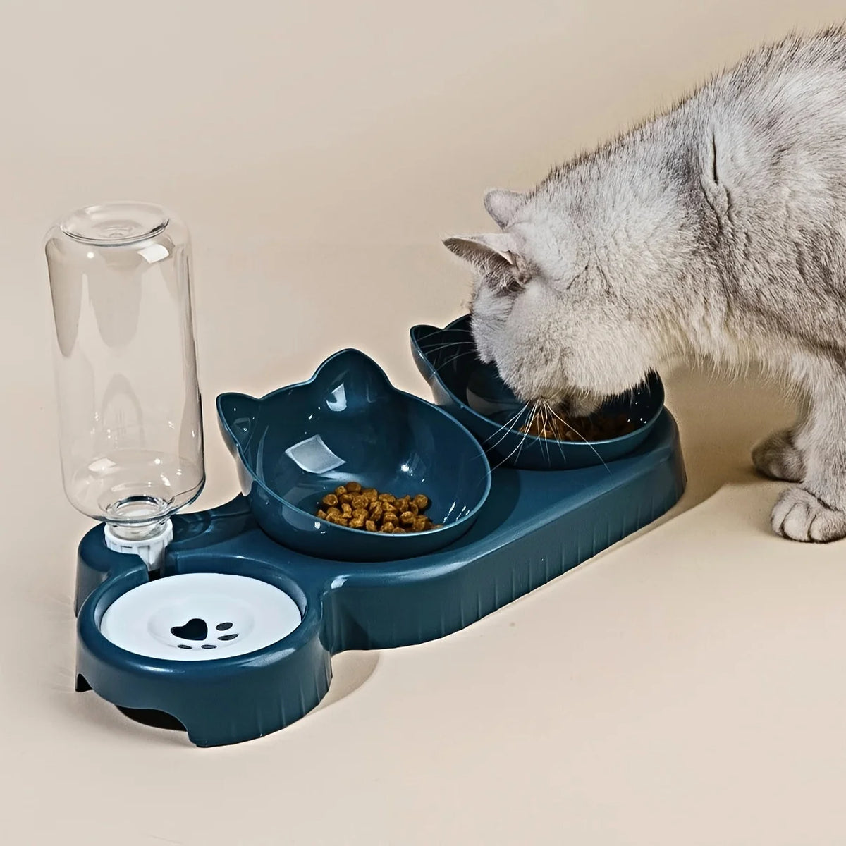 Eine graue Katze isst aus einer blauen Futterschale mit Wasserabgießer.
