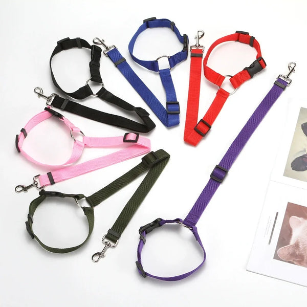 A collection of various adjustable car safety belts and dog leashes in black, blue, red, pink, and green.