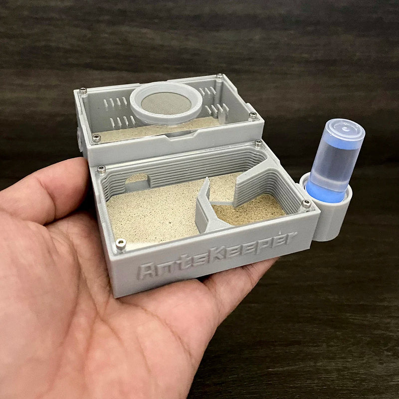 مزرعة النمل ذات الأربع أقسام مع غرف مستقلة