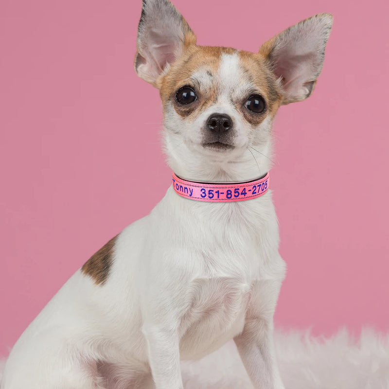 Personalisierte bestickte Nylon-Hundehalsband