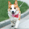 Collar Bandana Ajustable para Mascotas
