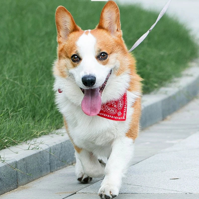 Collar Bandana Ajustable para Mascotas