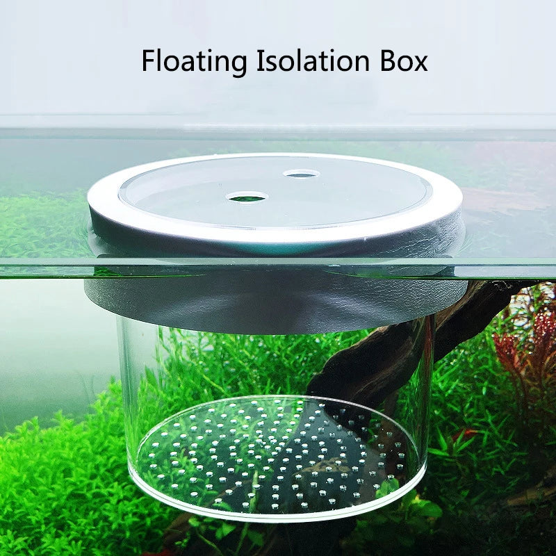 Aquarium Fish Breeding Isolation Box with Suction Cups