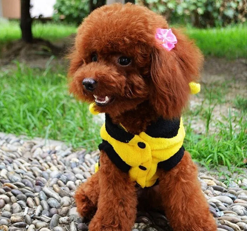 Disfraz de Abeja para Perro con Capa con Capucha