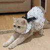 Summer Bow Heart Print Pet Dress for Small Dogs and Cats