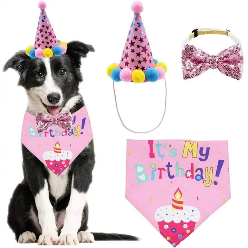 Ein schwarz-weißes Hundekleid in pinker Geburtstagskleidung mit Krone und Schleife.