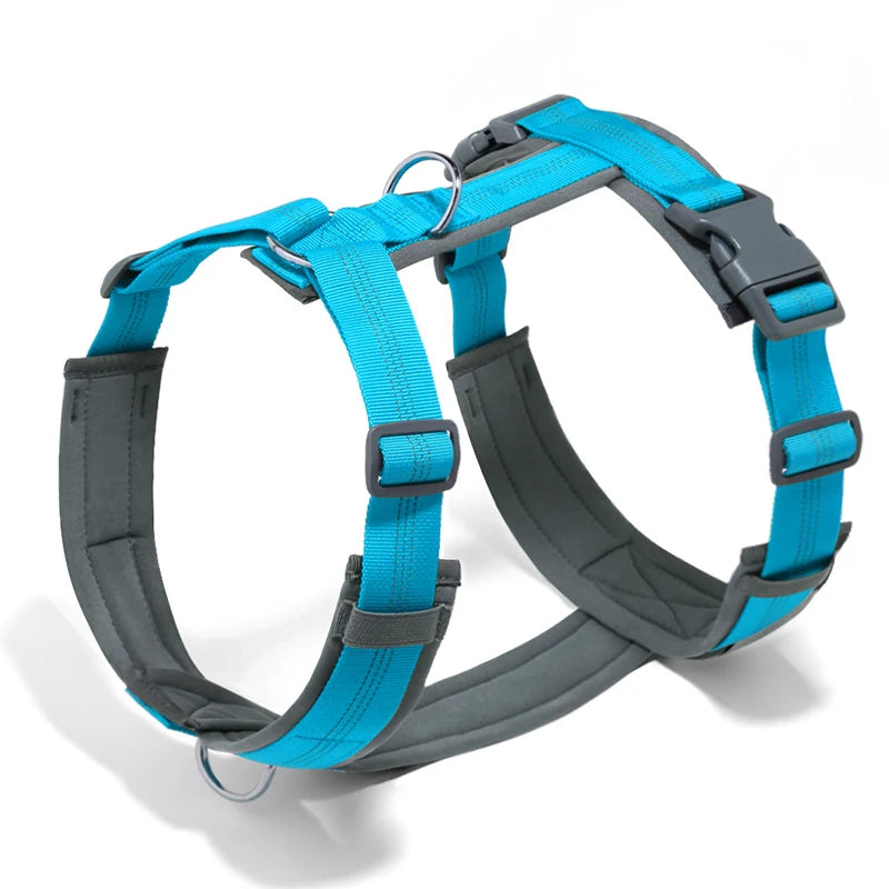 A bright blue and gray adjustable dog harness with an H-shaped design shown against a white background.