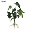 Artificial Hydroponic Plant with Visible Roots – Lifelike Greenery for Home & Event Decor