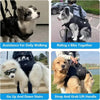 A dog is being assisted for daily walking, riding a bike together, going up and down stairs, and using a strap and grab lift 