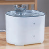 2.2L Pet Water Fountain with Filtration and Ultra-Quiet Pump