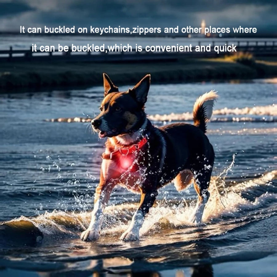 A black dog is running through water, illuminated by a bright red LED light from its collar.