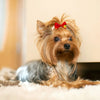 Cute Handmade Dog Bow Hair Accessories with Rubber Bands (200 Pack)