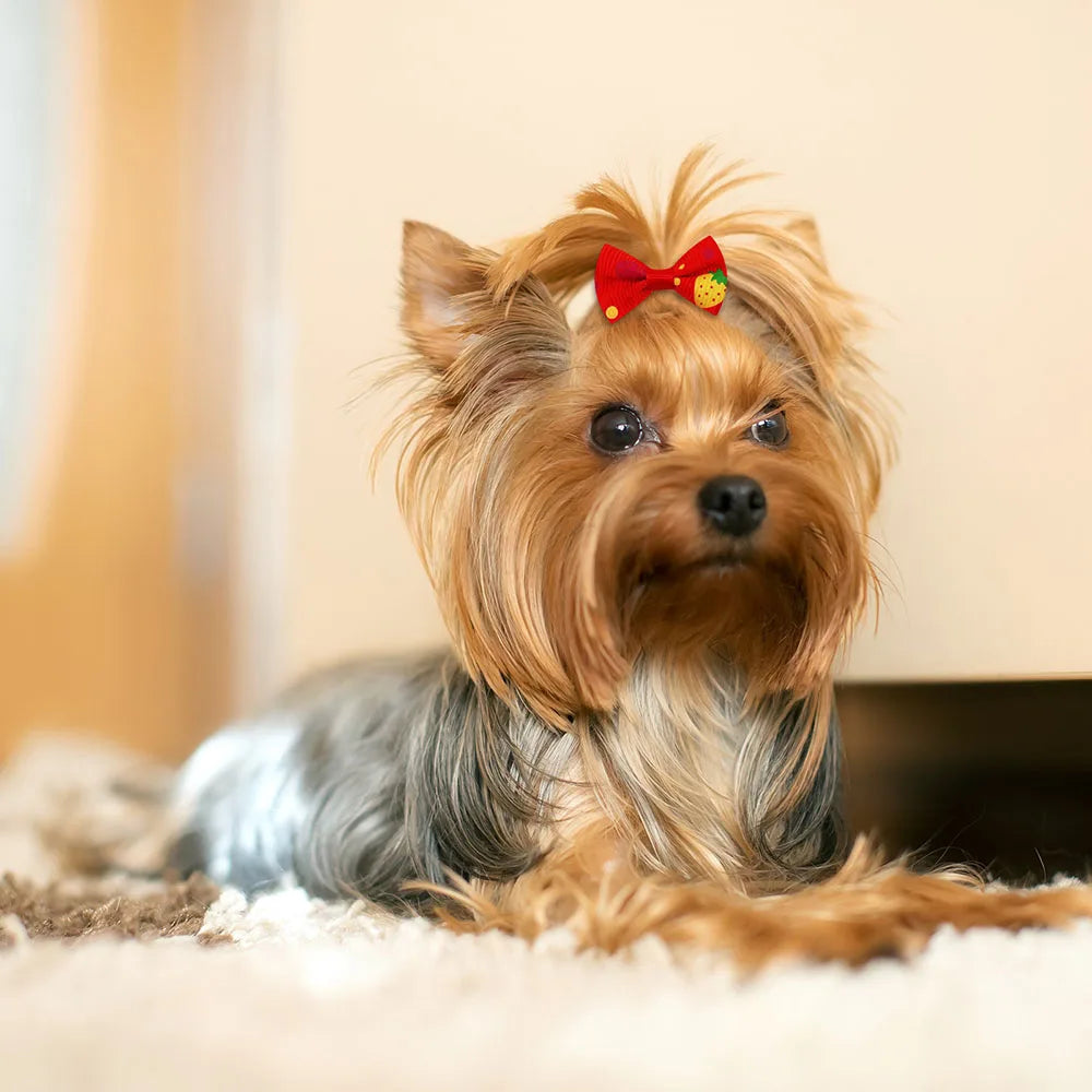 Cute Handmade Dog Bow Hair Accessories with Rubber Bands (200 Pack)