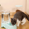 Automatic Pet Feeder with Drinking Bowl Large Capacity 3.8L