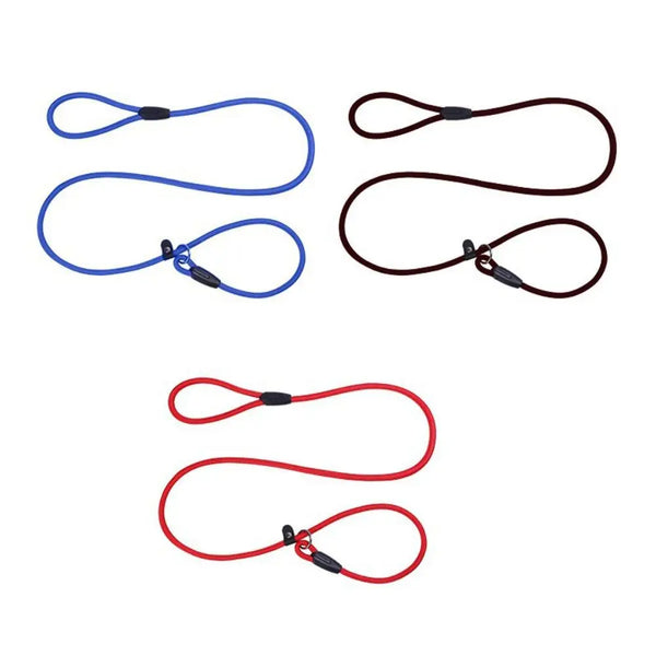Three adjustable nylon dog slip leashes in blue, brown, and red colors