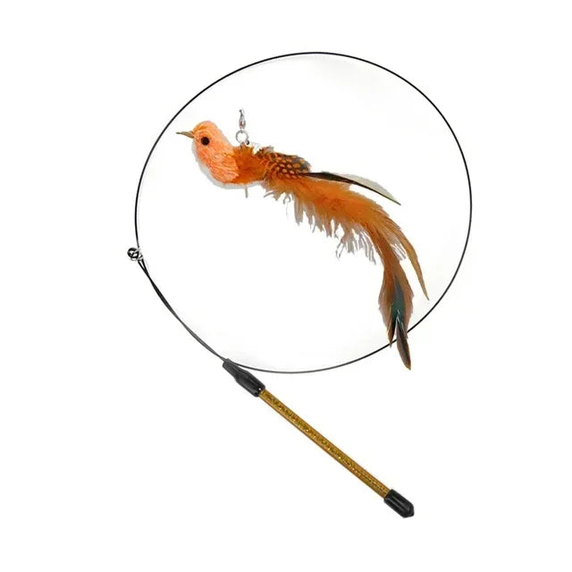 Jouet Interactif pour Chat en Forme de Paon avec Clochette