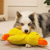 Large Duck Plush Squeaky Toy for Dogs