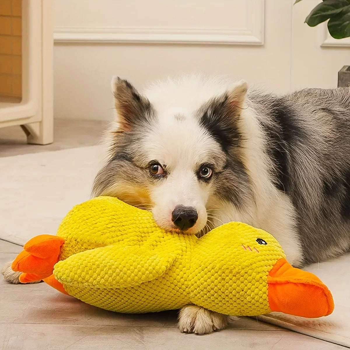 Large Duck Plush Squeaky Toy for Dogs