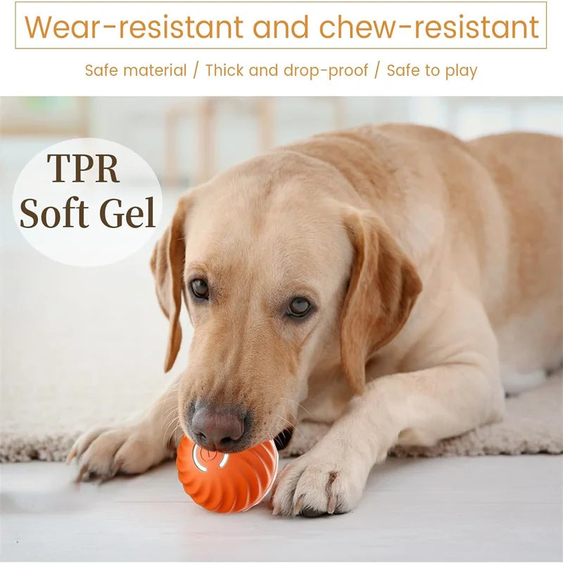 Intelligenter Smart-Ball für Hunde mit zufälliger Bewegung