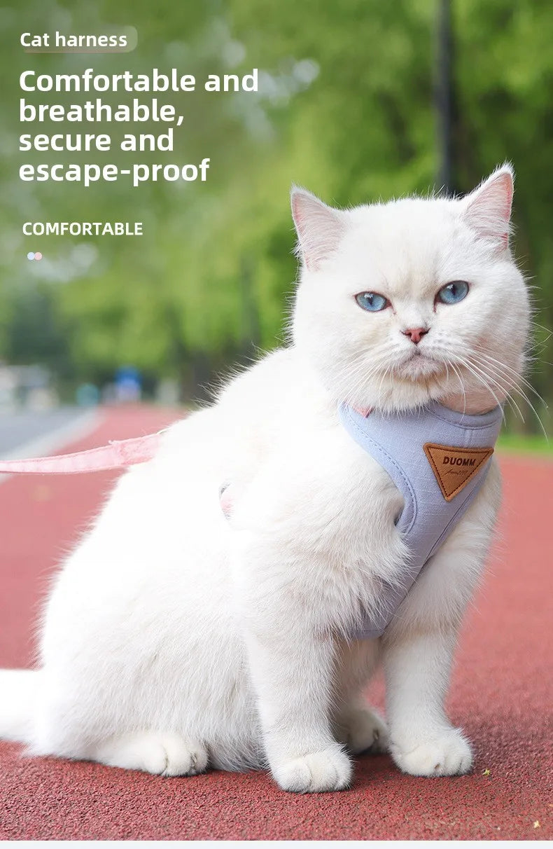 A white cat wearing a light blue escape-proof harness sits on a red surface.