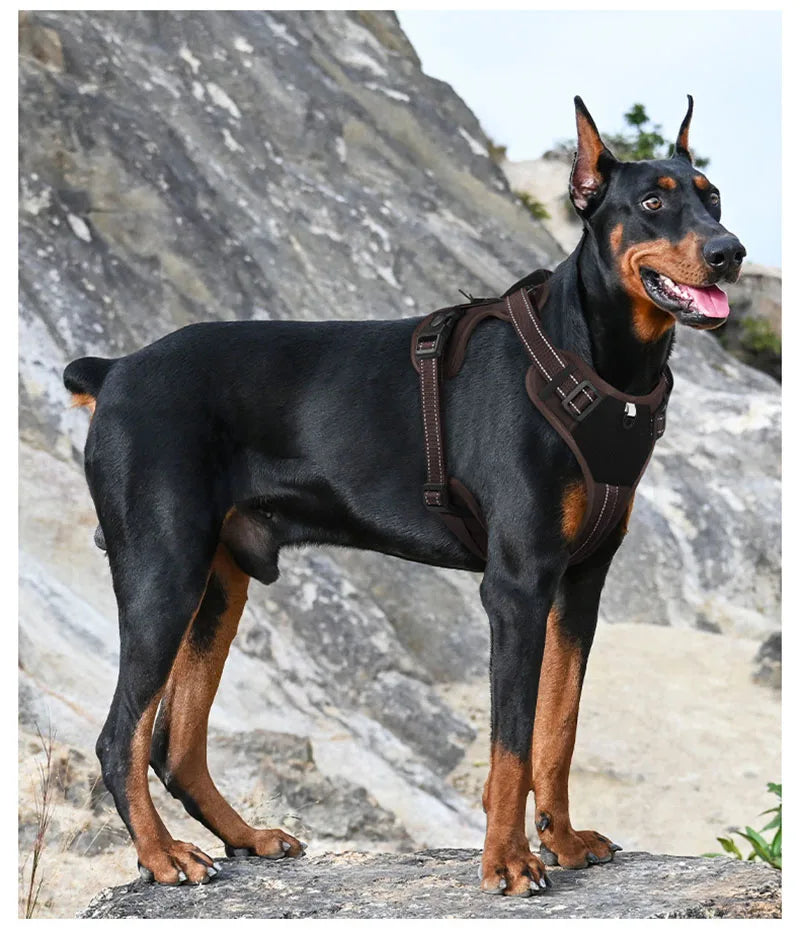 A black and tan dog wearing a brown tactical harness standing on a rock.