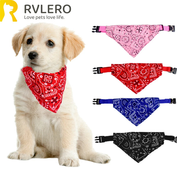 Ein goldener Retriever mit einem rot gemusterten Bandana für Hunde und Katzen
