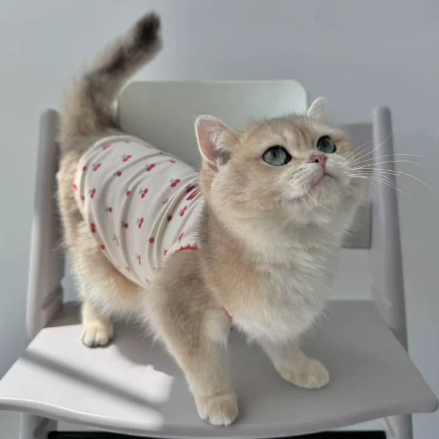 A fluffy light brown cat wearing a white cherry print tank top sitting on a white chair.