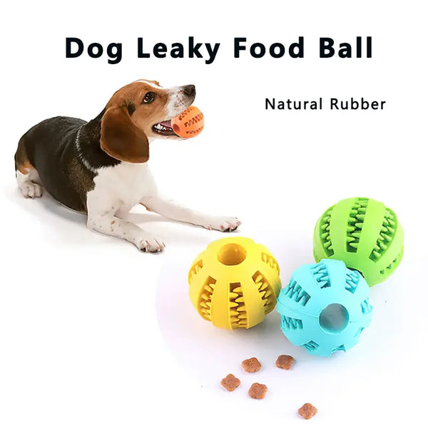 A dog is interacting with a yellow, green, and blue natural rubber food ball.