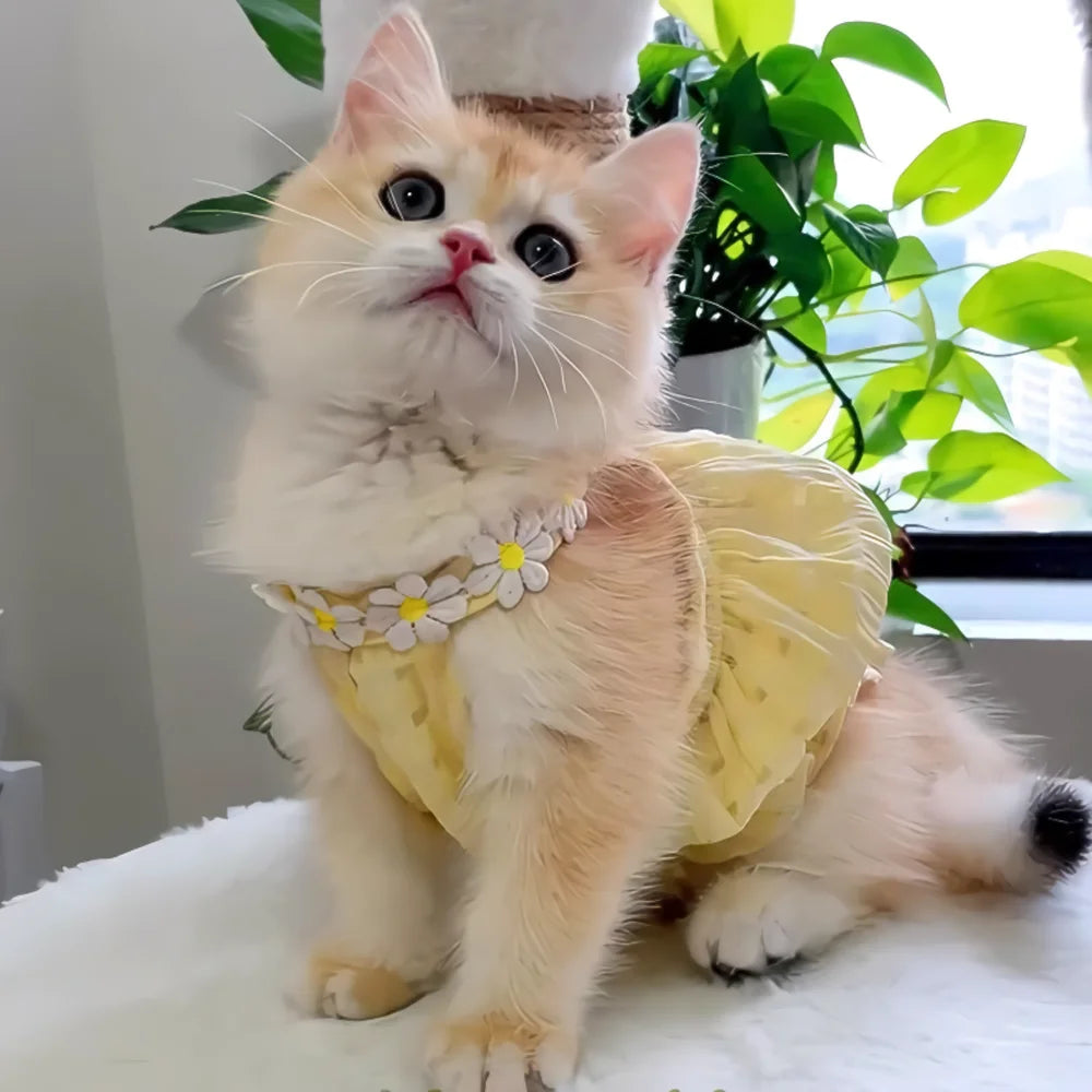 Yellow Floral Wreath Collar Mini Dog Dress