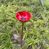 Decorative Flower Bird Feeder and Waterer for Garden