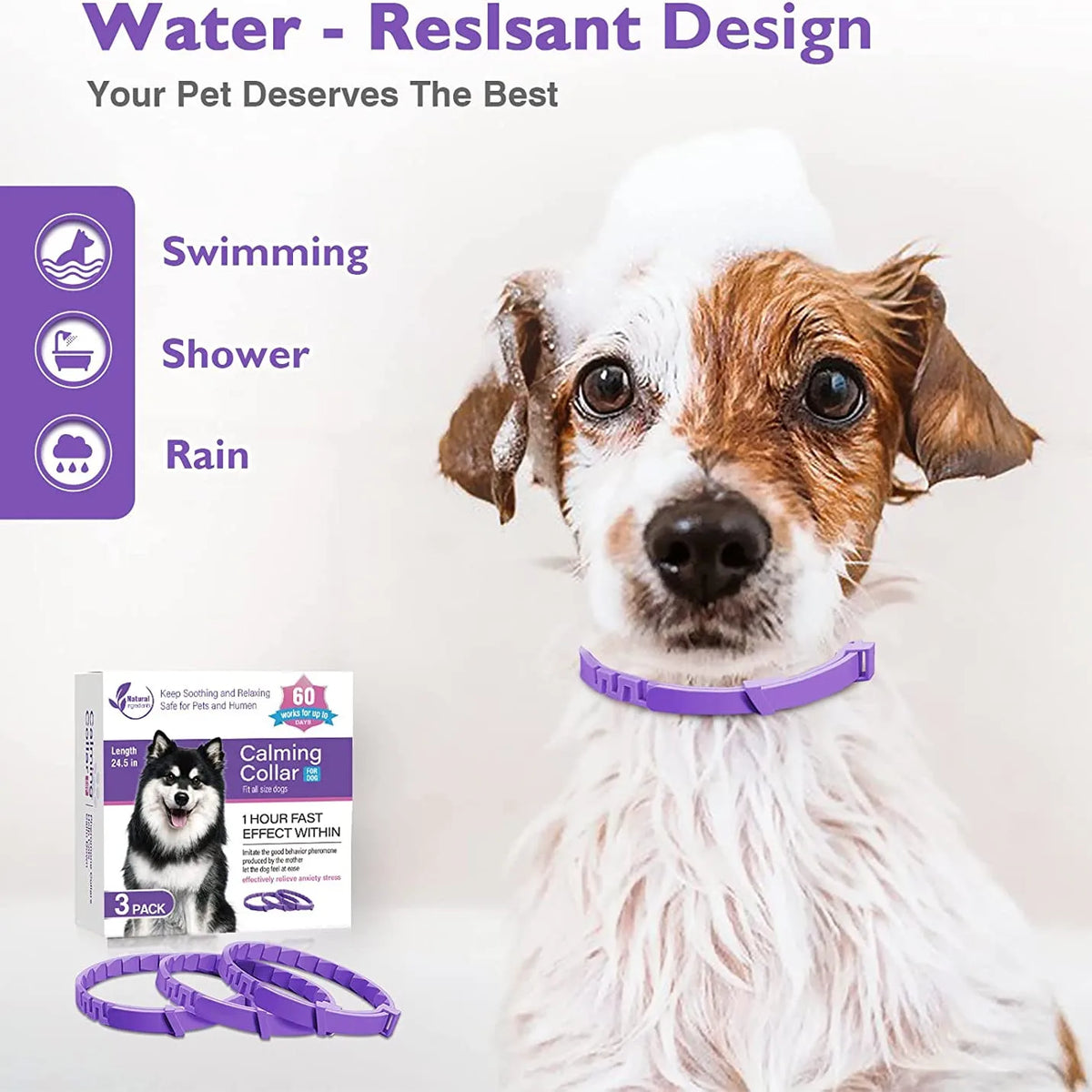 Un perro con un collar morado relajante junto a una caja del mismo producto.