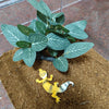 Artificial Aquarium Plant Decor - Turtle Tree Trunk Plastic