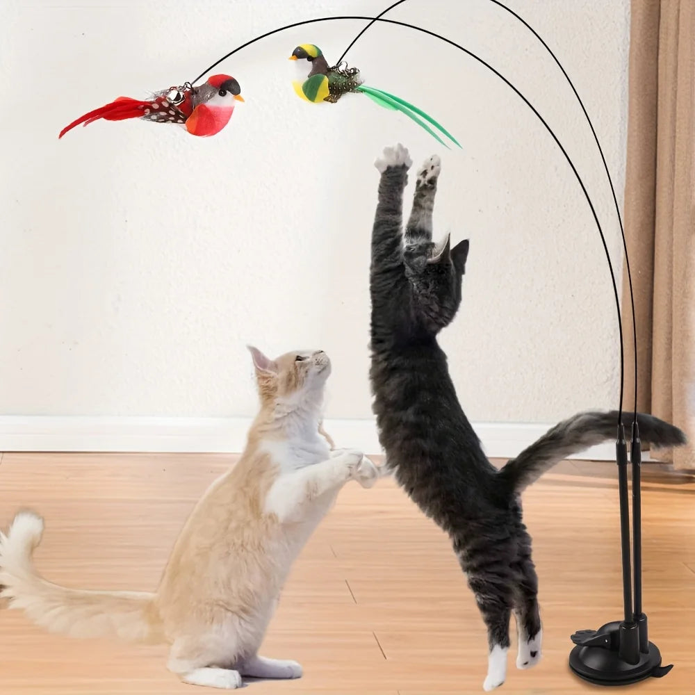 Schwarzer interaktiver Katzen-Spielstab, mit einem Kater, der mit bunten Vogelspielzeugen spielt.
