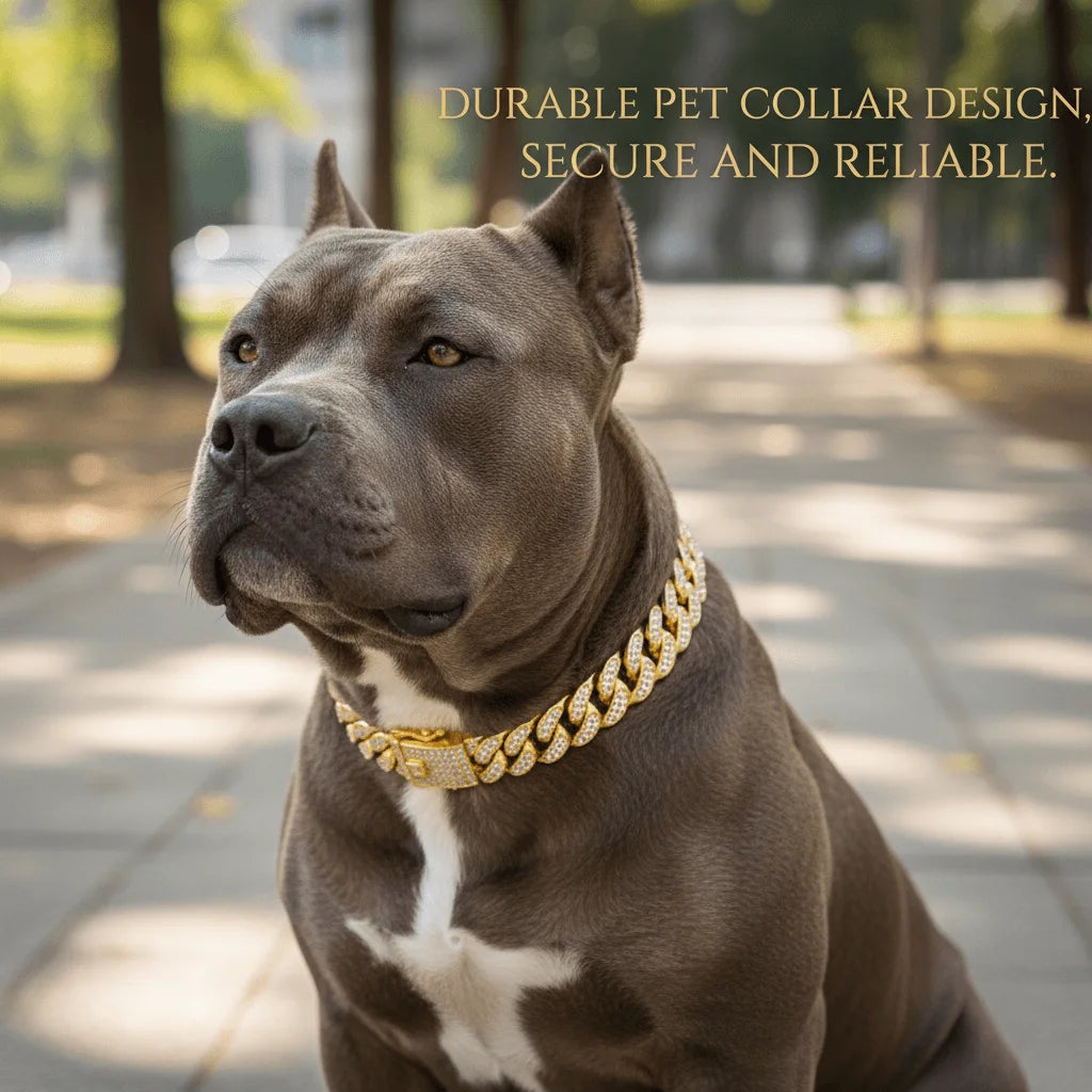Luxury Gold Stainless Steel Dog Collar with Diamond Inlay