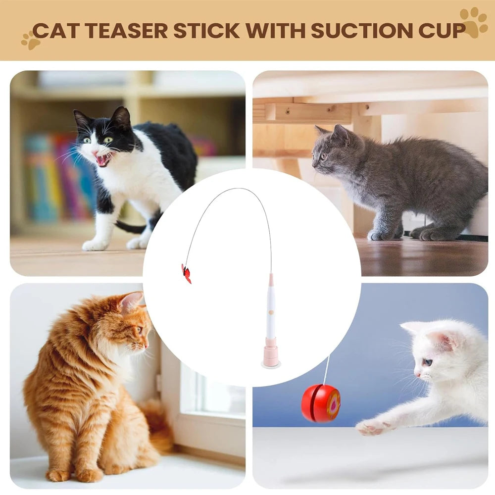 A cat teaser stick with a suction cup is shown next to various cats.