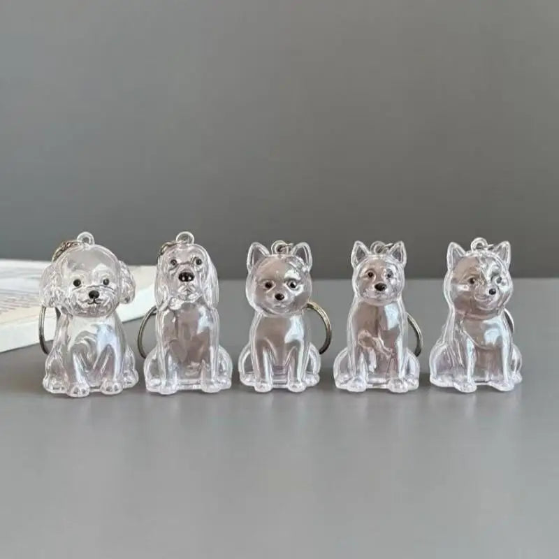 Pet Hair Keepsake Keychain with Transparent Capsule