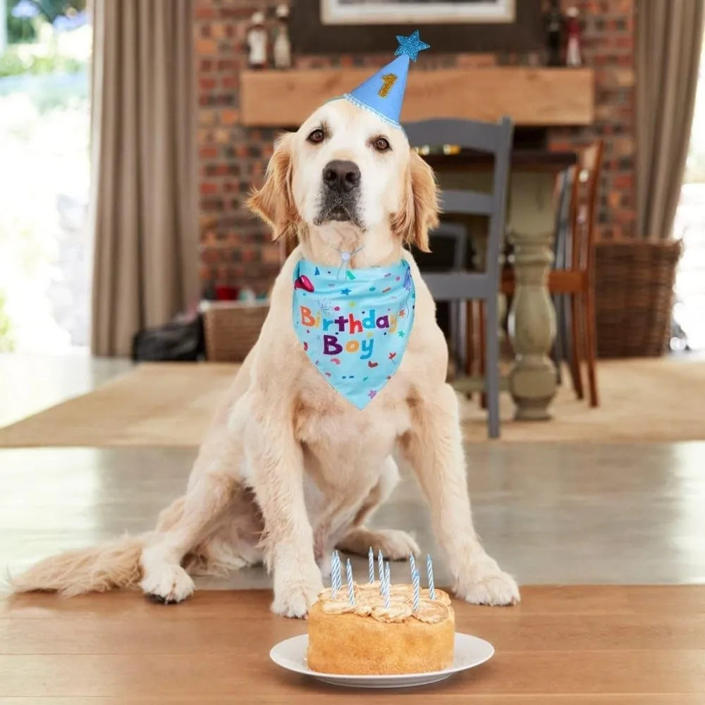 A golden retriever wearing a blue birthday hat and a blue patterned bandana sits in front of a cake.