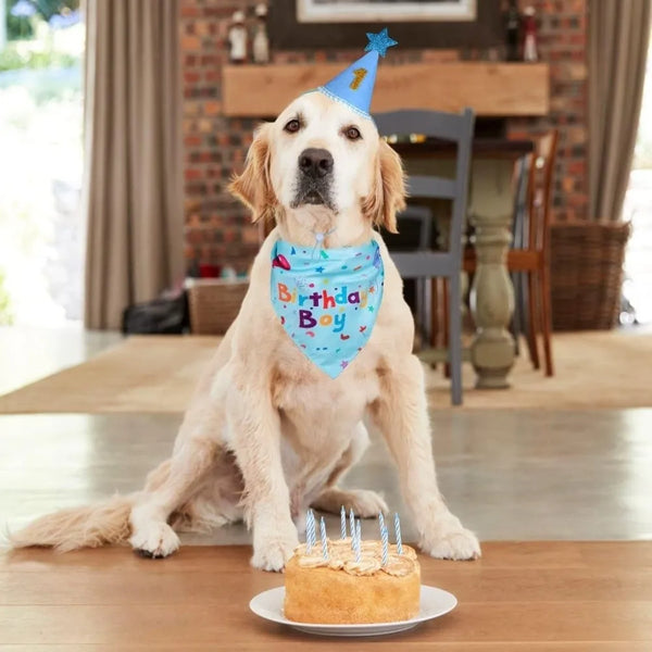 A golden retriever wearing a blue birthday hat and a blue patterned bandana sits in front of a cake.