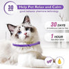 A fluffy white and gray cat wearing a purple pheromone calming collar, with text indicating 30 days of calm.