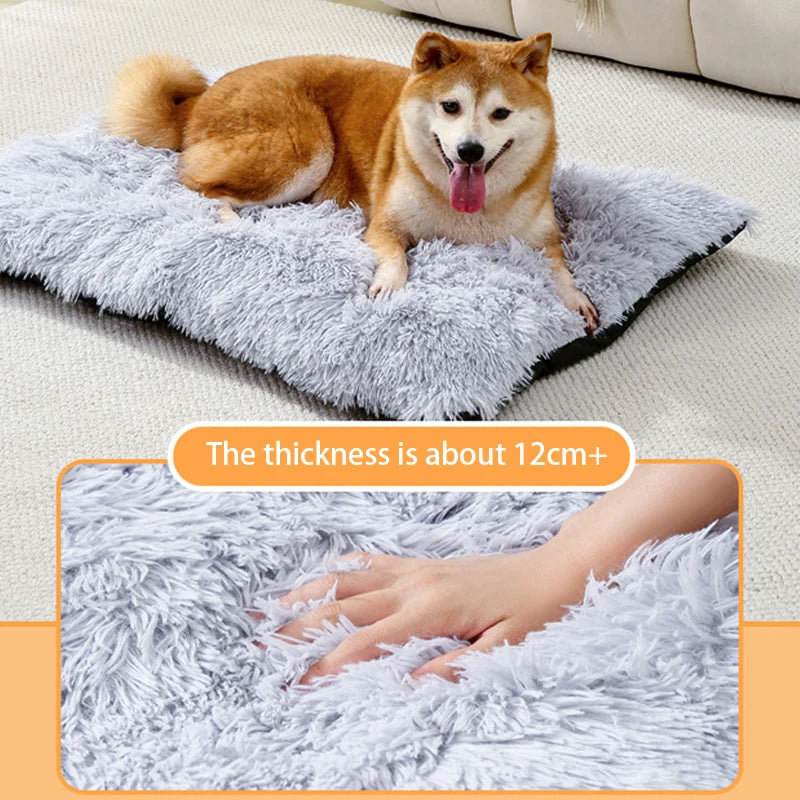 A fluffy Shiba Inu dog is lying on a thick gray plush pet bed mat with a non-slip base.