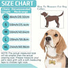 Size chart and example of a dog collar for measuring pet neck girth.