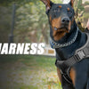 Tactical Dog Harness with Reflective Strips for Training and Outdoor Adventures