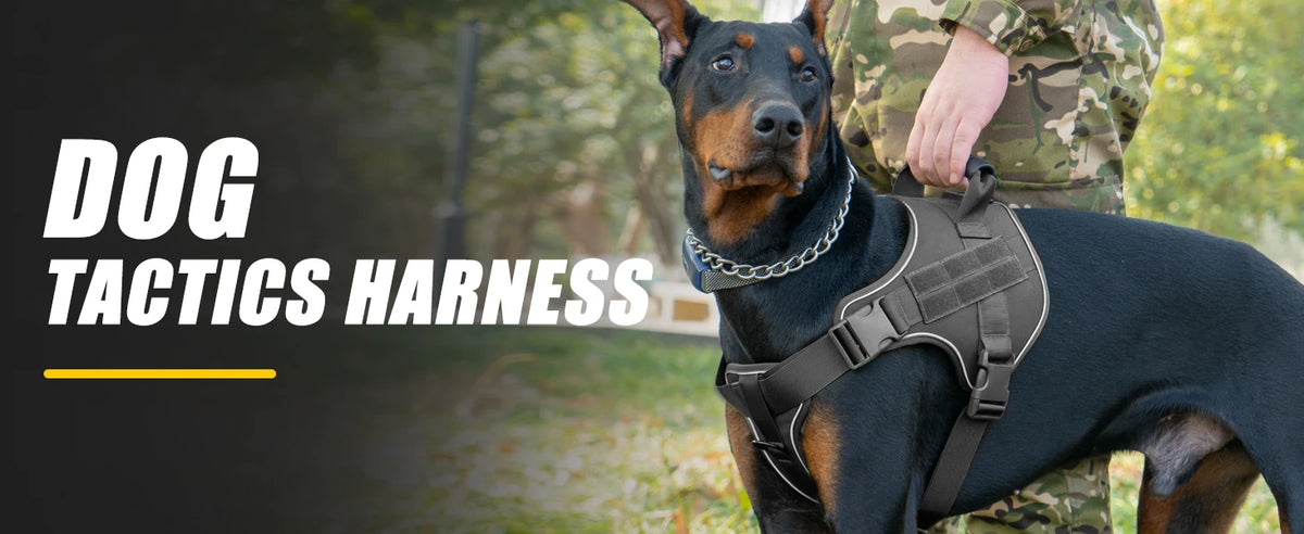 Tactical Dog Harness with Reflective Strips for Training and Outdoor Adventures