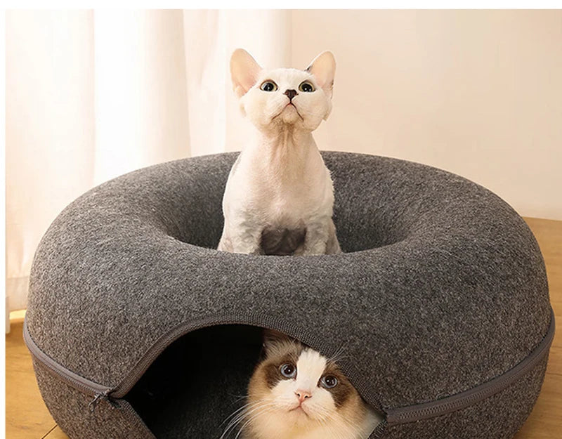 Un chat de couleur claire regarde hors d'un lit pour animaux en forme de donut gris, avec un autre chat partiellement visible