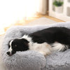 Cama de Plush Ortopédica para Perros con Borde