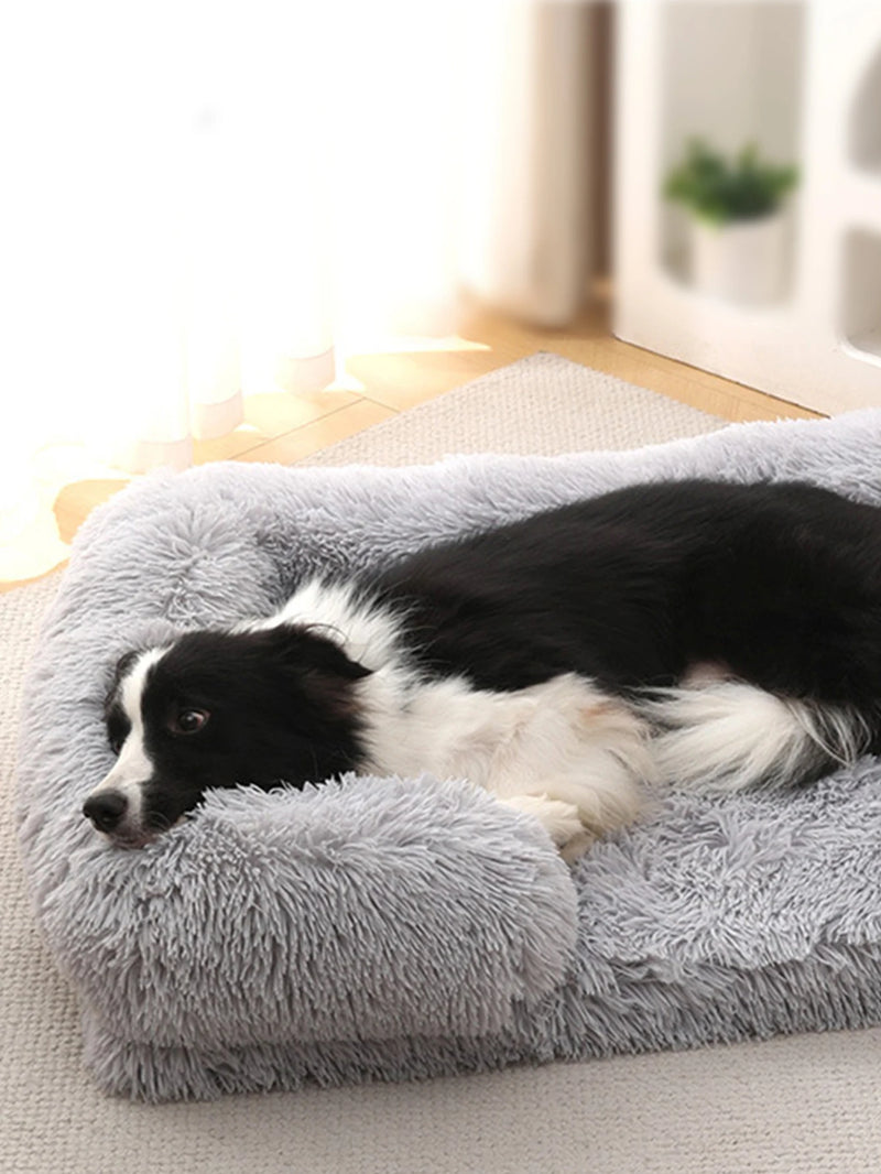 Cama de Plush Ortopédica para Perros con Borde