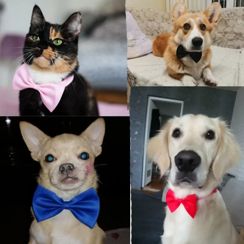 Pet Bow Tie Collar with Adjustable Strap