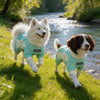 Pet Cooling Full-Body Suit for Summer Heat Relief